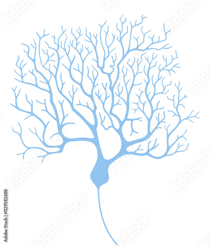 Vector set of purkinje neuron. Scientific illustration