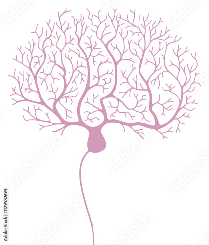 Vector purkinje neuron. Scientific illustration