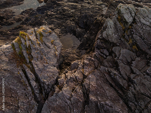 Rocky Shoreline of Vancouver Island at Sunset with Mossy Details