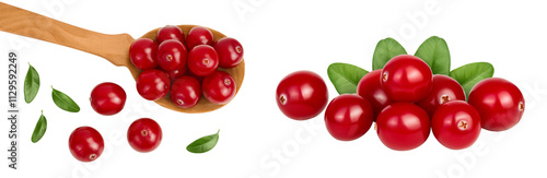 Cranberry in wooden spoon isolated on white background with  full depth of field, Top view. Flat lay