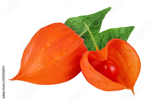 Cape gooseberry, physalis isolated on white background with full depth of field