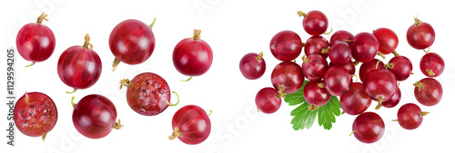 Red gooseberry isolated on white background. Top view. Flat lay.
