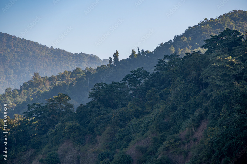 A captivating silhouette of trees against the backdrop of mystical blue mountains in the Shivalik range in Rishikesh. A captivating silhouette of trees against the backdrop of mystical blue mountains in the Shivalik range in Rishikesh.