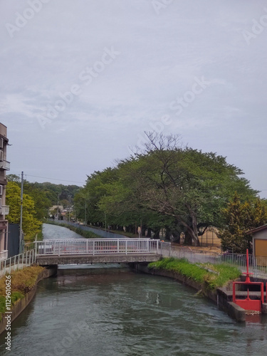 水の流れる農業用水路