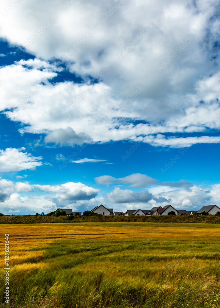 field and blue sky field and blue sky
