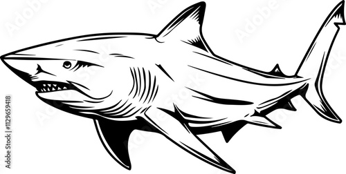 Illustration of a Shark