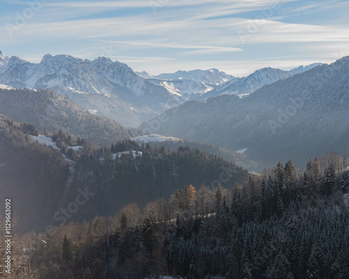 alpine landscape in the mountains with snowy peaks and big forests and valleys photo