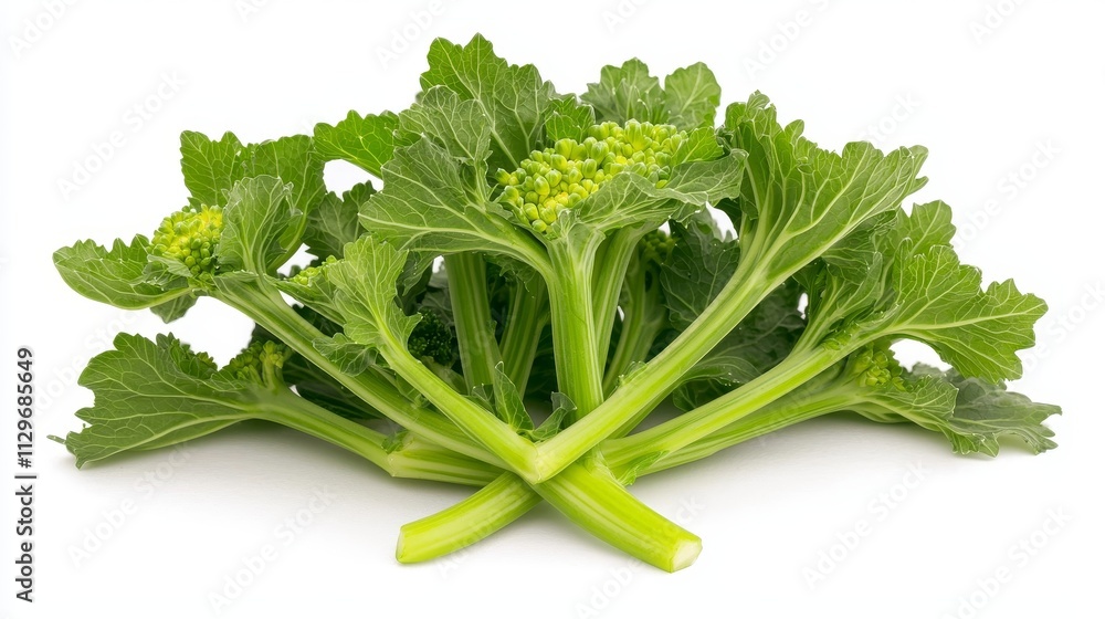 Fresh broccoli isolated on white, vivid greens and intricate floret detail, captured in soft, diffused light, perfect for vegan ad campaigns Fresh broccoli isolated on white, vivid greens and intricate floret detail, captured in soft, diffused light, perfect for vegan ad campaigns