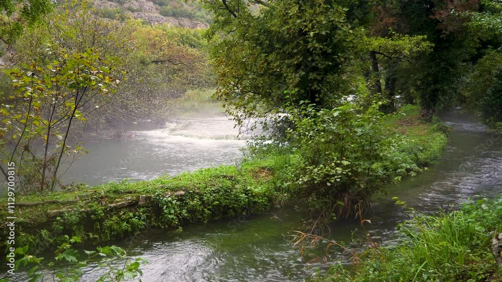 Misty Forest River Flowing Through Verdant Landscape Misty Forest River Flowing Through Verdant Landscape