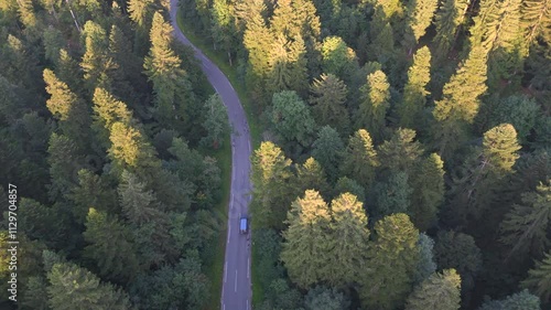 Aerial View of a Vehicle on a Scenic Forest Road at Golden Hour