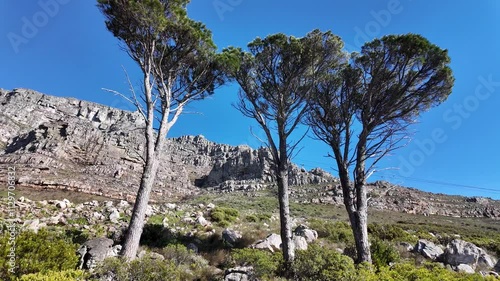 Table Mountain At Cape Town Western Cape South Africa. Dramatic Landscape Of Beautiful Canyons In The Tropical Scene. Countryside Sky Clouds Rural Field. Sky Panning Wide. Cape Town Western Cape.