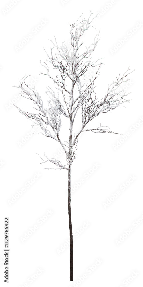 Obraz premium snow branch cut out isolated transparent background