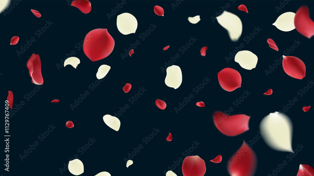 Red rose petals falling on dark blue background. Vector illustration. Red rose petals falling on dark blue background. Vector illustration.