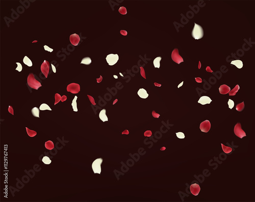 Rose petals fall to the floor. Vector illustration of a flying rose petals.