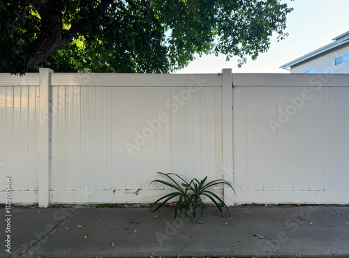 one plant in front of a white wooden fence along a sidewalk, bokeh tree and house background photo