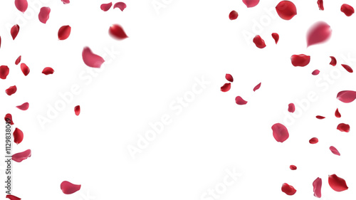 Red rose petals fly in a circle on a white background.