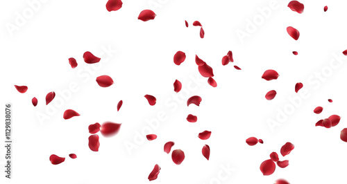 Red rose petals fly in a circle on a white background.
