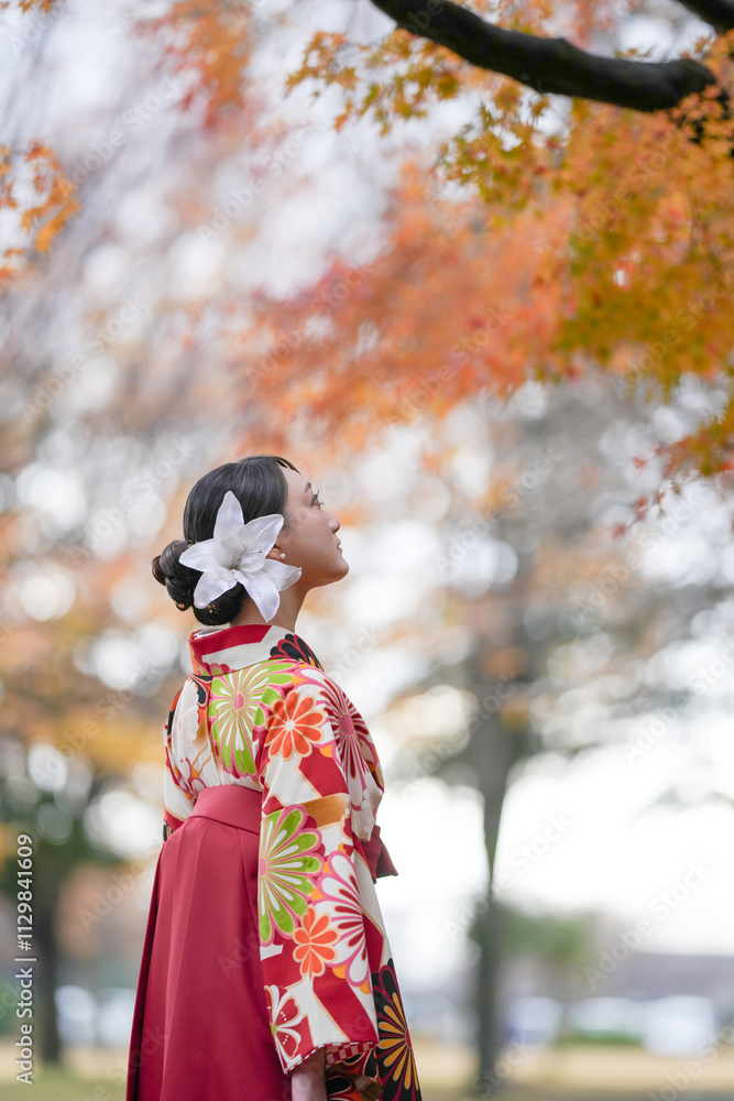 A Japanese woman in her 20s wearing a red kimono (Hakama), a staple of Japanese university graduates, stands looking at the sky in a traditional Japanese park with beautiful autumn leaves. A Japanese woman in her 20s wearing a red kimono (Hakama), a staple of Japanese university graduates, stands looking at the sky in a traditional Japanese park with beautiful autumn leaves.