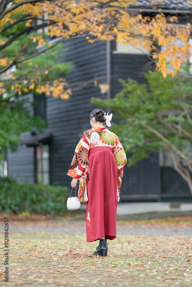 Fototapeta premium A Japanese woman in her 20s wearing a red kimono (Hakama), a staple for Japanese university graduates, walks in front of a traditional Japanese house with beautiful autumn leaves.