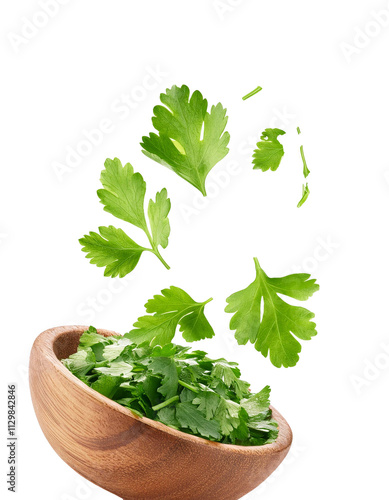 Falling chopped cilantro isolated on white background with full depth of field with natural herbal appeal and freshness always observed.