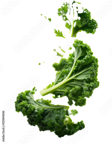 Falling chopped kale isolated on white background with full depth of field highlighting deep green nutrient-rich leaves and natural beauty always seen.
