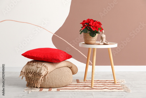 Christmas plant poinsettia ...