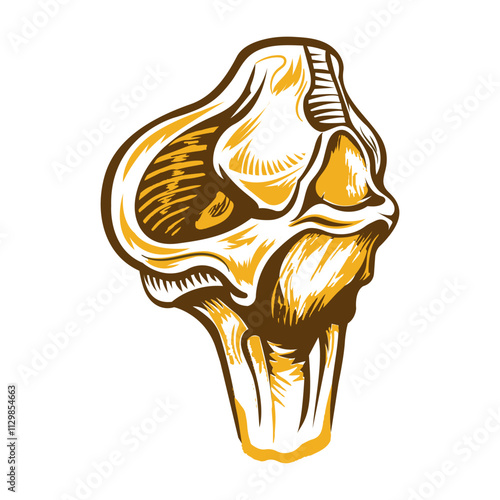A vintage style illustration of cartilage