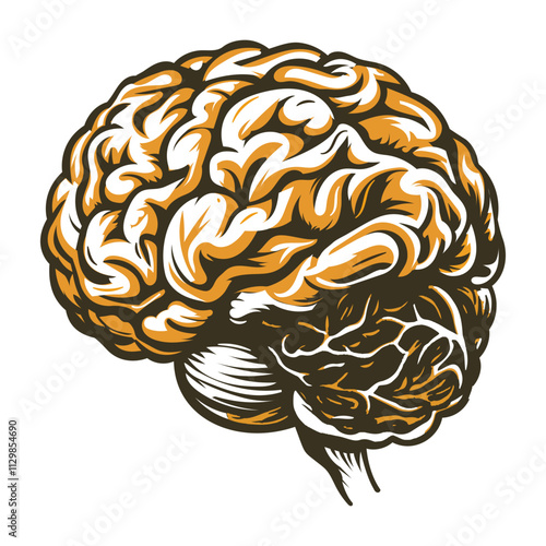 A vintage illustration of cerebrum