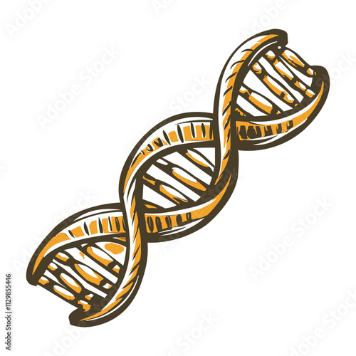 A vintage illustration of rna structure