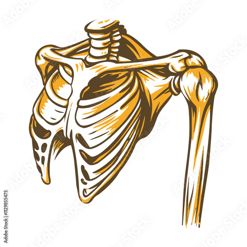 Vintage style illustration of shoulder joint