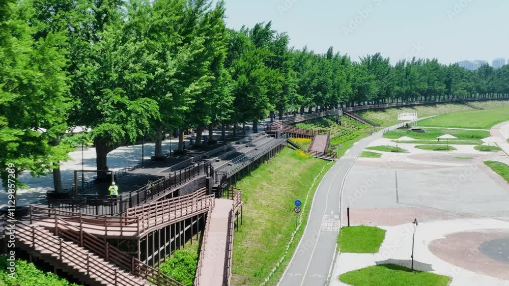 Ginkgo Tree Road and Riverside Park in Korea Ginkgo Tree Road and Riverside Park in Korea