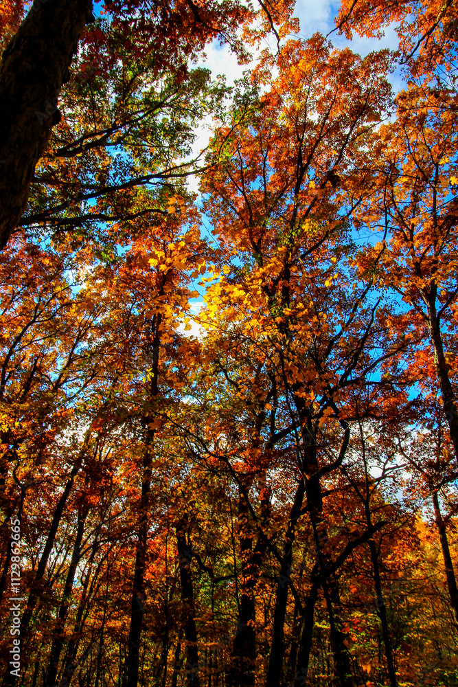 Shale Hollow Park in Autumn, Lewis Center, Ohio Shale Hollow Park in Autumn, Lewis Center, Ohio