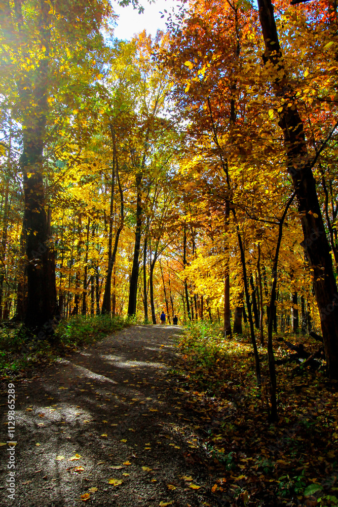 Obraz premium Shale Hollow Park in Autumn, Lewis Center, Ohio