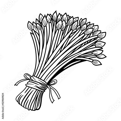 A doodle style icon of chives stem