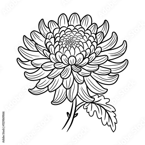 A sketchy style icon of chrysanthemum