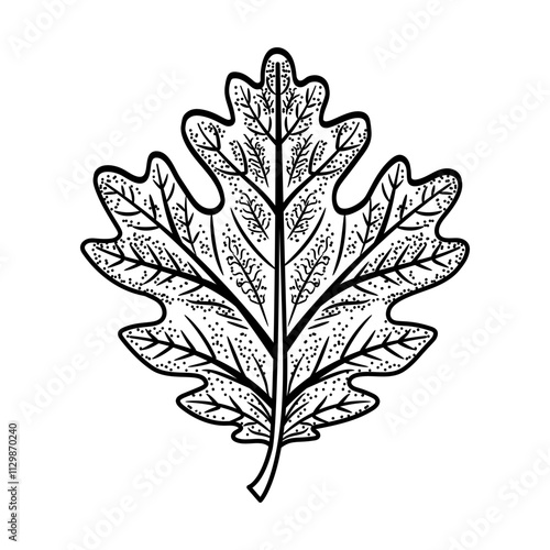 A hand drawn icon of oak foliage