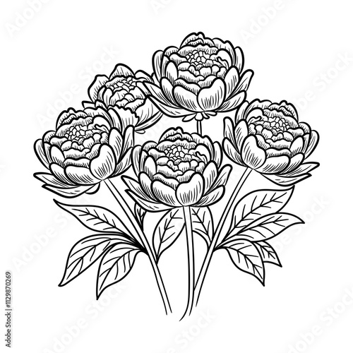 A hand drawn icon of peony