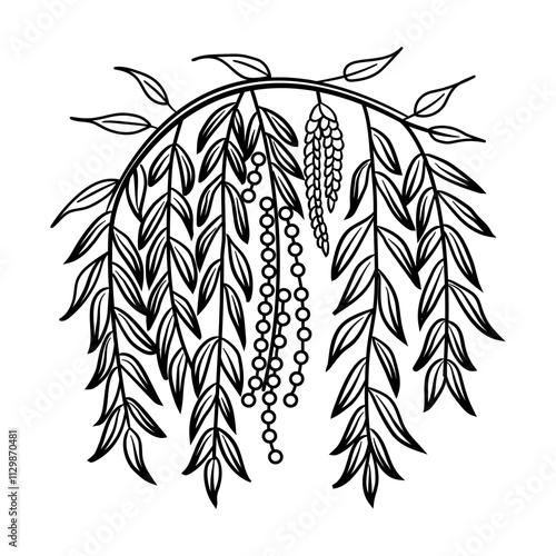 A sketchy style icon of willow plant