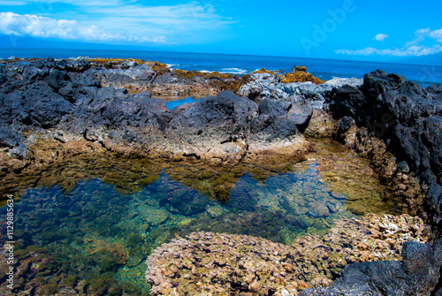 Fotografija Hawaii coast tidepools - Maui