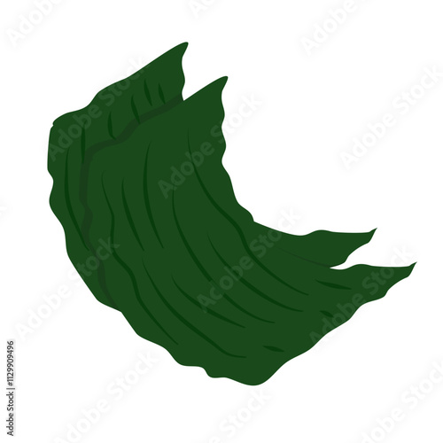 Nori dried seaweed sheets vector