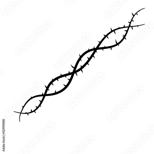 thorny plant stem vector