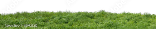 Hill with green isolated on transparent background with clipped path and high resolution alpha channel.