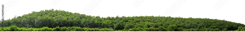 Mountain hill with green forest isolate on transparent background with clipping path and alpha channel, high resolution. Mountain hill with green forest isolate on transparent background with clipping path and alpha channel, high resolution.