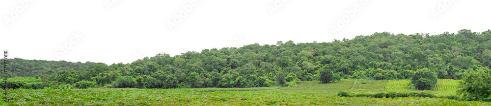 Mountain hill with green forest isolate on transparent background with clipping path and alpha channel, high resolution. Mountain hill with green forest isolate on transparent background with clipping path and alpha channel, high resolution.