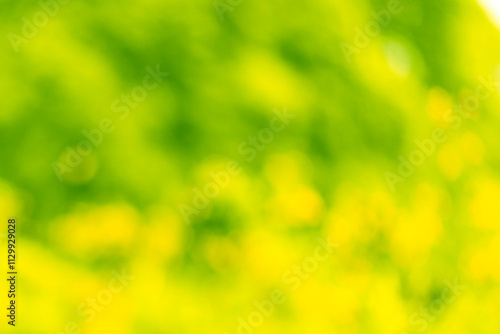 The photo is blurry and out of focus, but it has bokeh and beautiful colors, including orange, yellow, green, and white. It was taken in Myanmar with a high-resolution camera.
