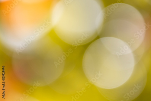 The photo is blurry and out of focus, but it has bokeh and beautiful colors, including orange, yellow, green, and white. It was taken in Myanmar with a high-resolution camera.