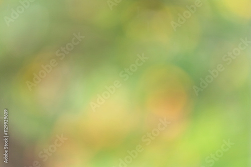 The photo is blurry and out of focus, but it has bokeh and beautiful colors, including orange, yellow, green, and white. It was taken in Myanmar with a high-resolution camera.