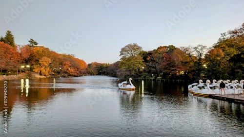 autumn in the park pond with a swan boat photo