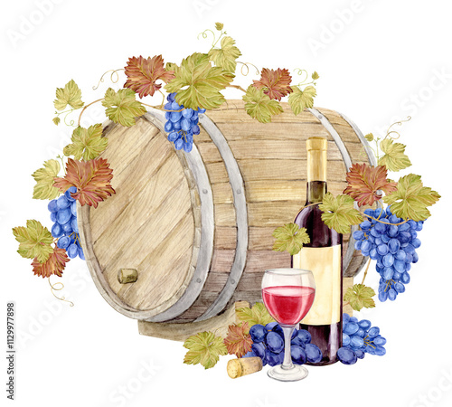 Grapevine with blue berries and oak barrel. Watercolor bottle of red wine with old paper label and glass of red wine. Illustration for tasting, menu, cafe, bar, posters and wine list design.