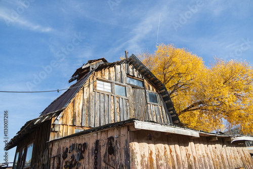 Old wooden dilapidated barn  and tall yellow leaved tree photo